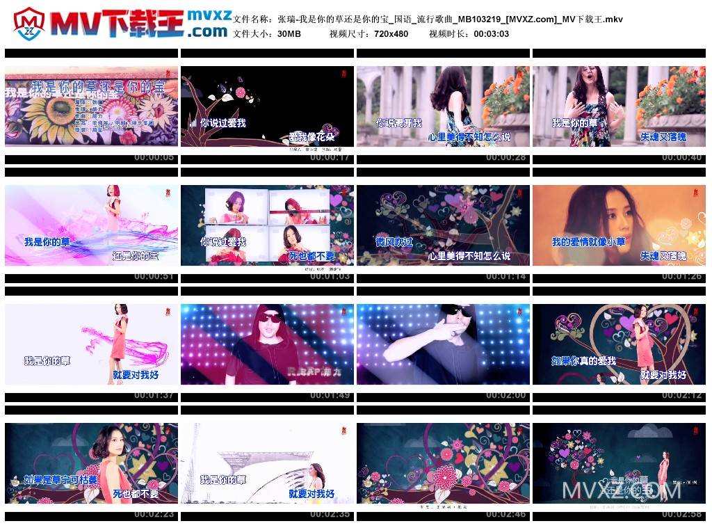 张瑞-我是你的草还是你的宝_国语_流行歌曲_MB103219